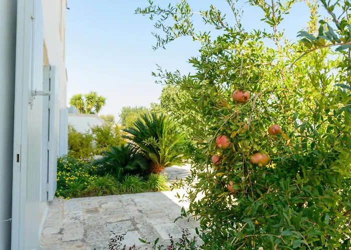 Helloapulia - Charming At Authentic Masseria Pepenofio מונופולי